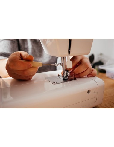 Servicio de Mantención General para Máquinas de Coser a Domicilio